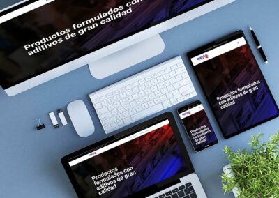Diseño web REEMOL®
